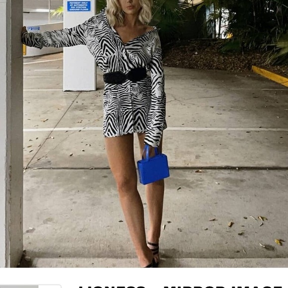 LIONESS - MIRROR IMAGE MINI DRESS IN ZEBRA - Picture 9 of 14